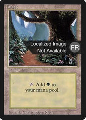Floresta / Forest - Magic: The Gathering - MoxLand