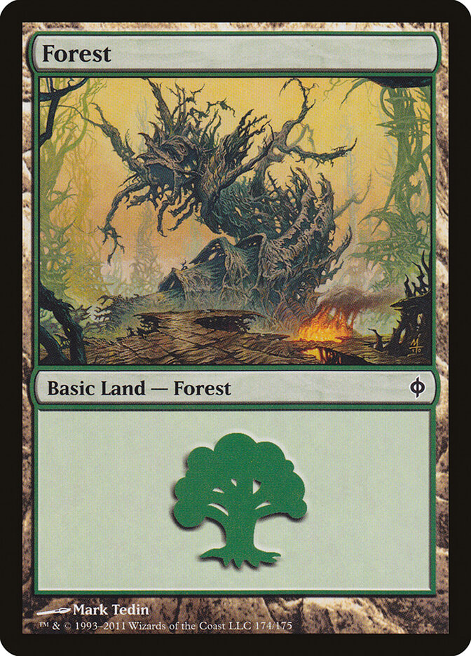 Floresta / Forest - Magic: The Gathering - MoxLand