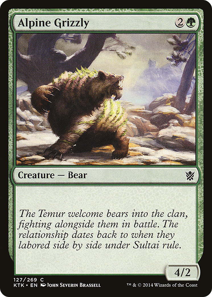 Urso Pardo Alpino / Alpine Grizzly