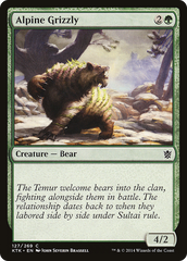 Urso Pardo Alpino / Alpine Grizzly