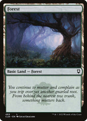 Floresta / Forest - Magic: The Gathering - MoxLand