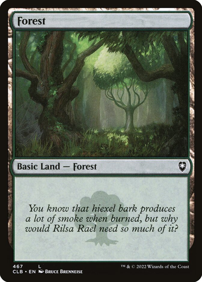 Floresta / Forest - Magic: The Gathering - MoxLand