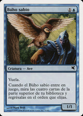 Coruja Sábia / Sage Owl - Magic: The Gathering - MoxLand