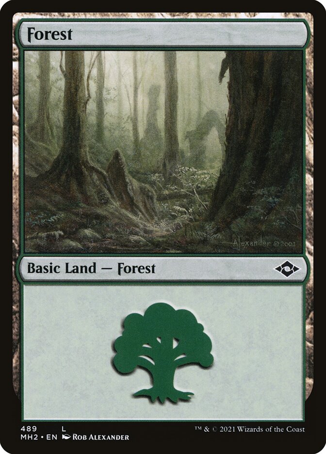 Floresta / Forest - Magic: The Gathering - MoxLand