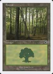 Floresta / Forest - Magic: The Gathering - MoxLand