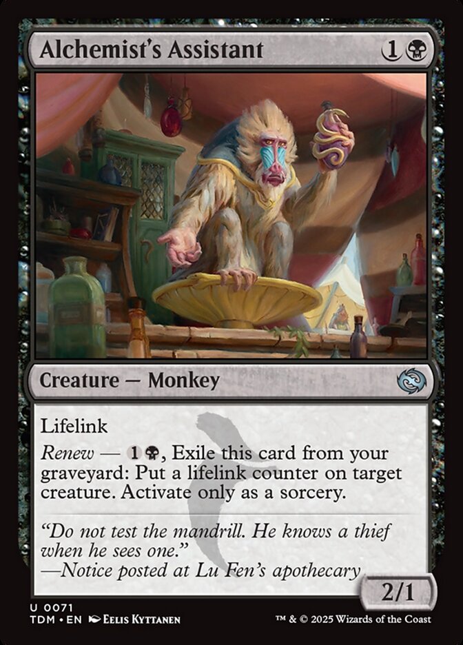 Assistente de Alquimista / Alchemist's Assistant - Magic: The Gathering - MoxLand