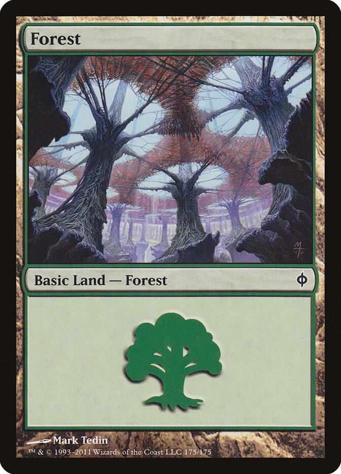 Floresta / Forest - Magic: The Gathering - MoxLand