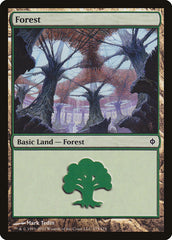 Floresta / Forest - Magic: The Gathering - MoxLand