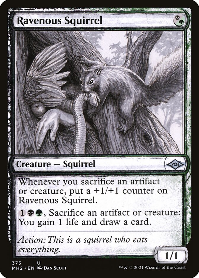 Esquilo Voraz / Ravenous Squirrel - Magic: The Gathering - MoxLand