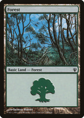 Floresta / Forest - Magic: The Gathering - MoxLand