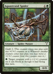 Aranha Fios D'Água / Aquastrand Spider