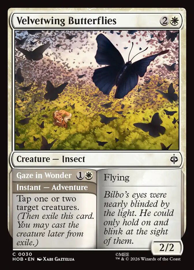 Velvetwing Butterflies / Gaze in Wonder