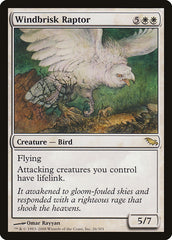 Raptor dos Ventos Velozes / Windbrisk Raptor - Magic: The Gathering - MoxLand