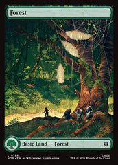 Floresta / Forest - Magic: The Gathering - MoxLand