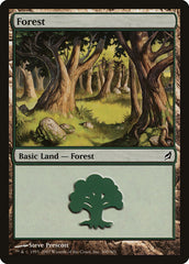Floresta / Forest - Magic: The Gathering - MoxLand