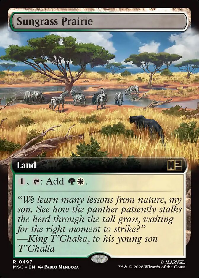 Pradaria de Capim Solar / Sungrass Prairie