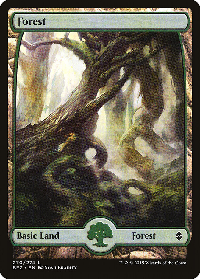 Floresta / Forest - Magic: The Gathering - MoxLand