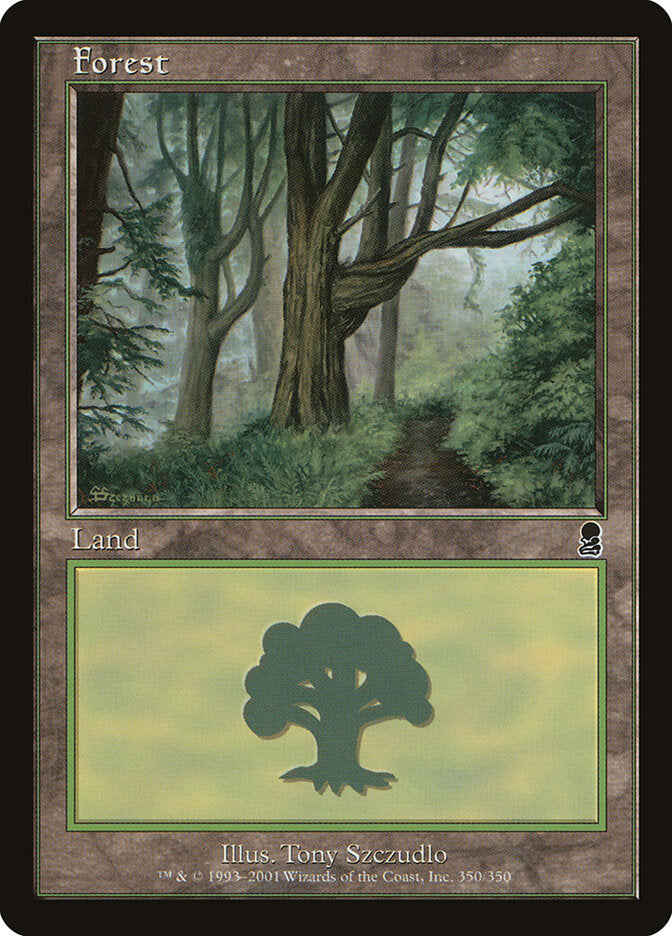Floresta / Forest