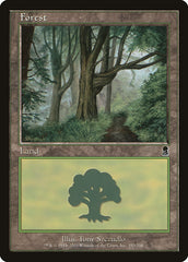 Floresta / Forest