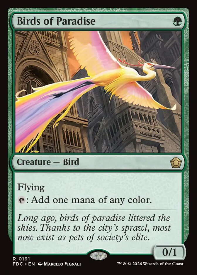 Aves do Paraíso / Birds of Paradise