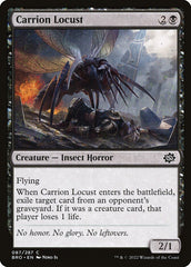 Gafanhoto Necrófago / Carrion Locust - Magic: The Gathering - MoxLand