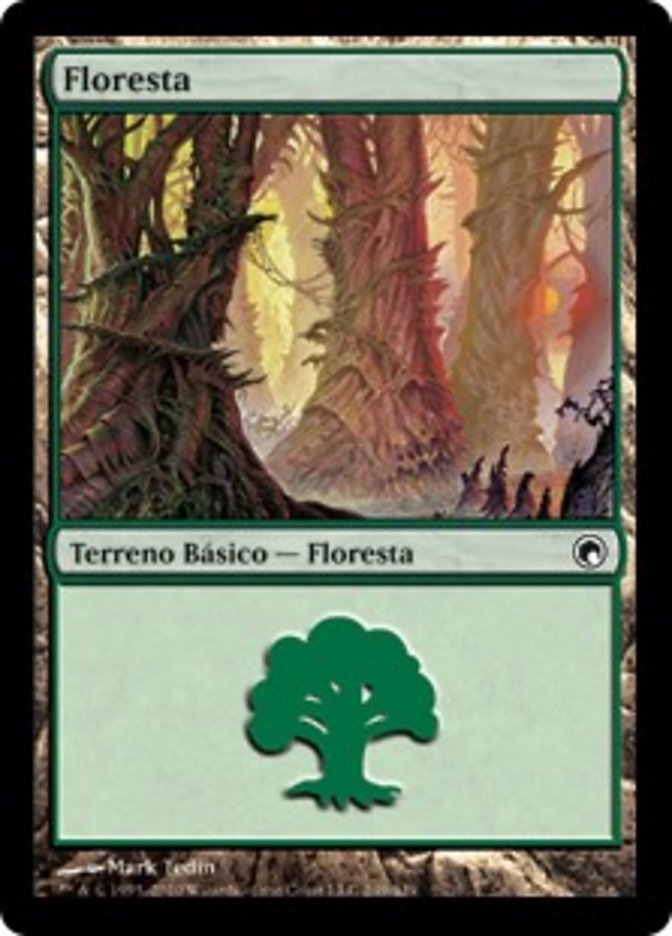 Floresta / Forest - Magic: The Gathering - MoxLand