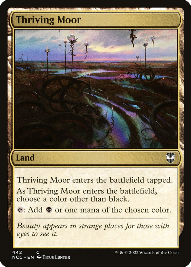 Charco Vicejante / Thriving Moor - Magic: The Gathering - MoxLand