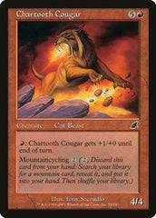 Puma Dentes-de-Carvão / Chartooth Cougar - Magic: The Gathering - MoxLand