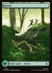 Floresta / Forest - Magic: The Gathering - MoxLand