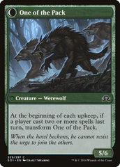 Caçador Solitário / Solitary Hunter - Magic: The Gathering - MoxLand
