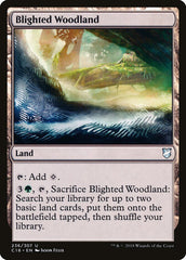 Floresta Flagelada / Blighted Woodland - Magic: The Gathering - MoxLand