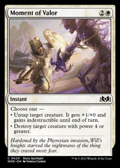 Momento de Bravura / Moment of Valor - Magic: The Gathering - MoxLand