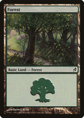Floresta / Forest - Magic: The Gathering - MoxLand