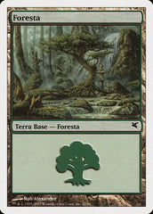 Floresta / Forest - Magic: The Gathering - MoxLand