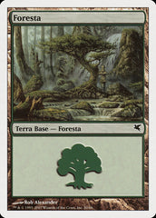 Floresta / Forest - Magic: The Gathering - MoxLand