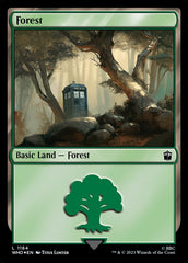 Floresta / Forest - Magic: The Gathering - MoxLand