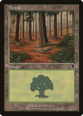 Floresta / Forest