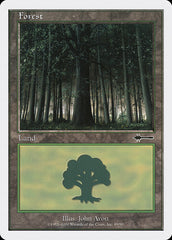 Floresta / Forest - Magic: The Gathering - MoxLand