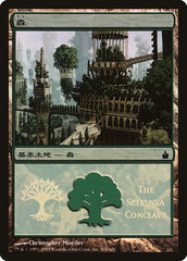 Floresta / Forest - Magic: The Gathering - MoxLand