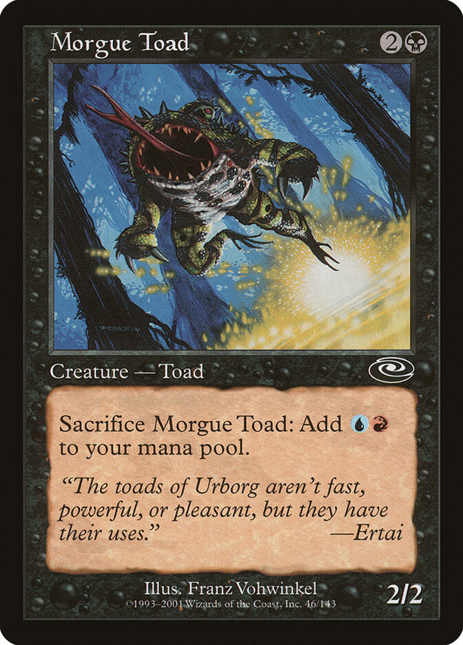 Sapo do Necrotério / Morgue Toad - Magic: The Gathering - MoxLand