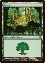 Floresta / Forest - Magic: The Gathering - MoxLand