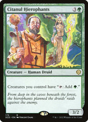 Hierofantes de Citanul / Citanul Hierophants - Magic: The Gathering - MoxLand