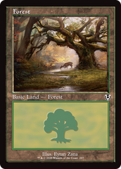 Floresta / Forest - Magic: The Gathering - MoxLand