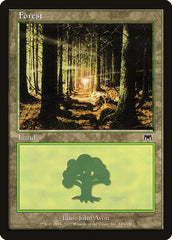 Floresta / Forest - Magic: The Gathering - MoxLand