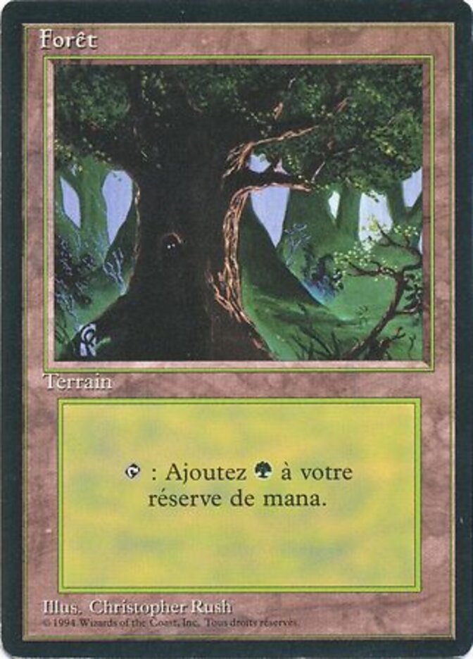 Floresta / Forest - Magic: The Gathering - MoxLand