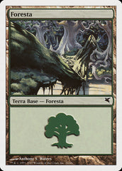 Floresta / Forest - Magic: The Gathering - MoxLand
