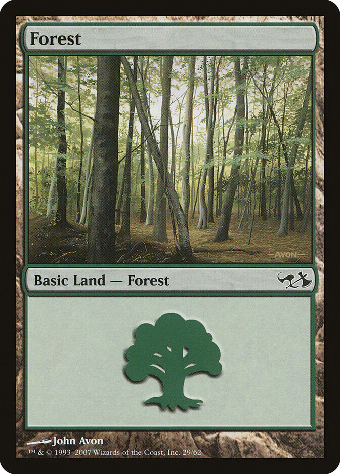 Floresta / Forest - Magic: The Gathering - MoxLand