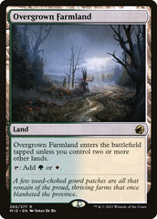 Campos Baldios / Overgrown Farmland - Magic: The Gathering - MoxLand
