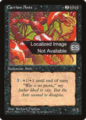 Formigas Carrieiras / Carrion Ants - Magic: The Gathering - MoxLand