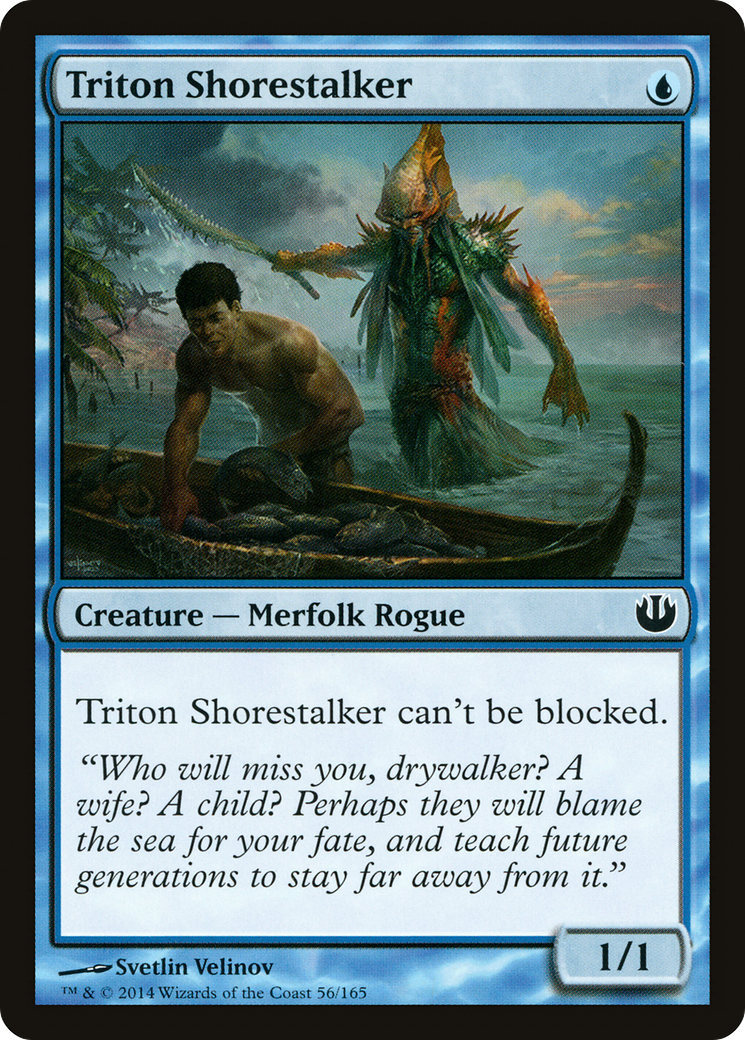 Talassido Vigia-costa / Triton Shorestalker